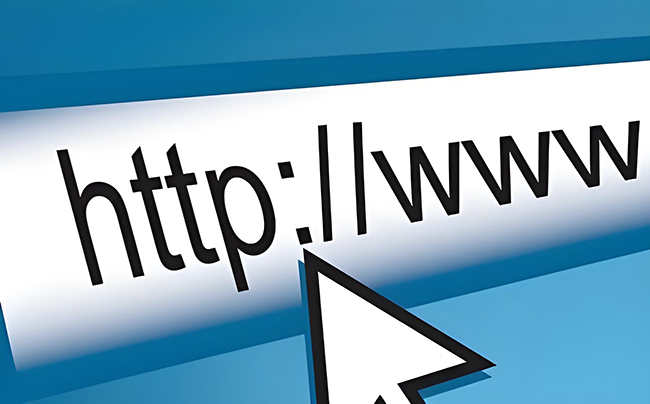 如何查看核实域名的历史使用情况与当前健康程度？-